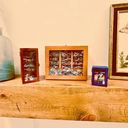 Anxiety Bookshelf Collection Bundle