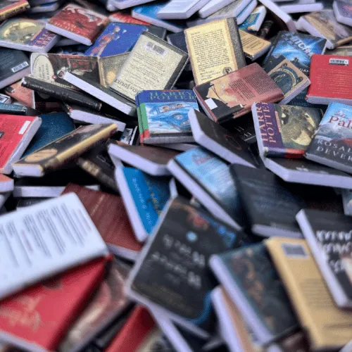 Anxiety Bookshelf with 400 Books