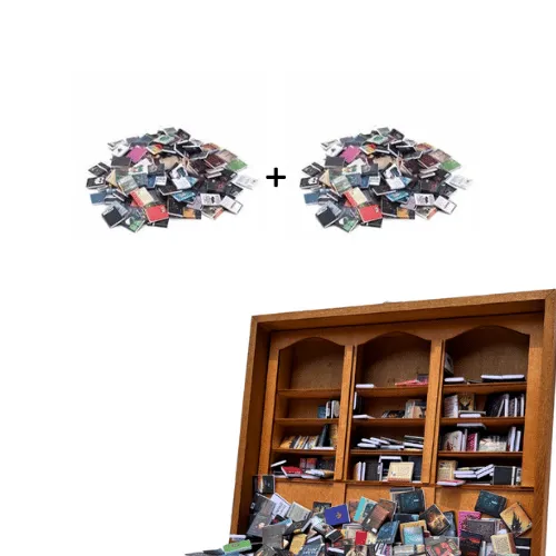 Anxiety Bookshelf with 400 Books