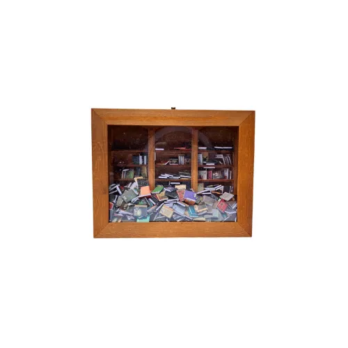 Anxiety Bookshelf with 400 Books