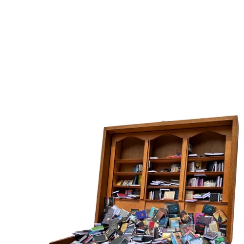 Anxiety Bookshelf