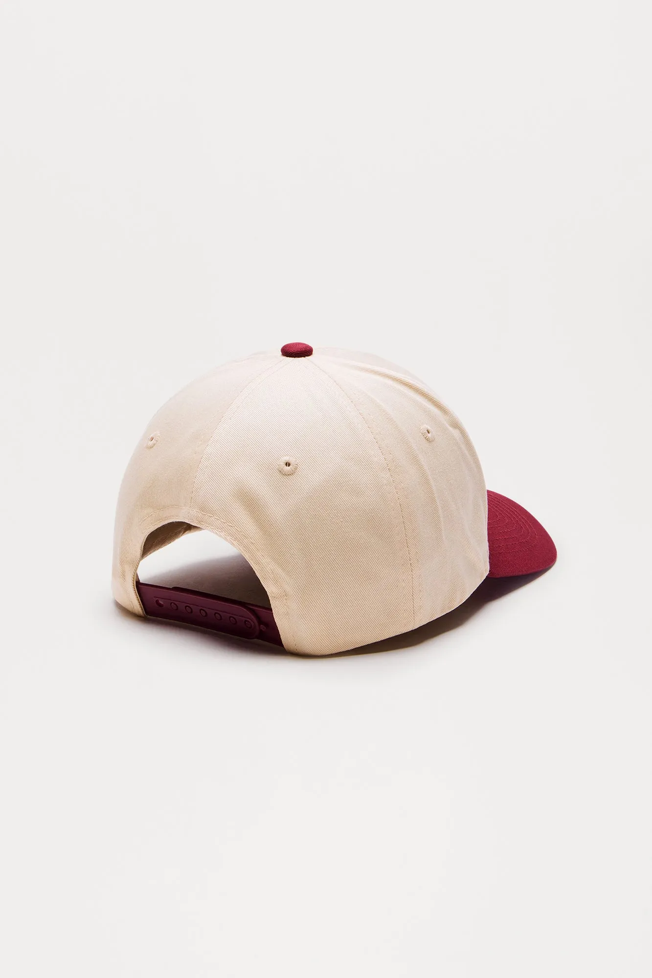 Art Dealer Snapback Hat - Stone/Combo
