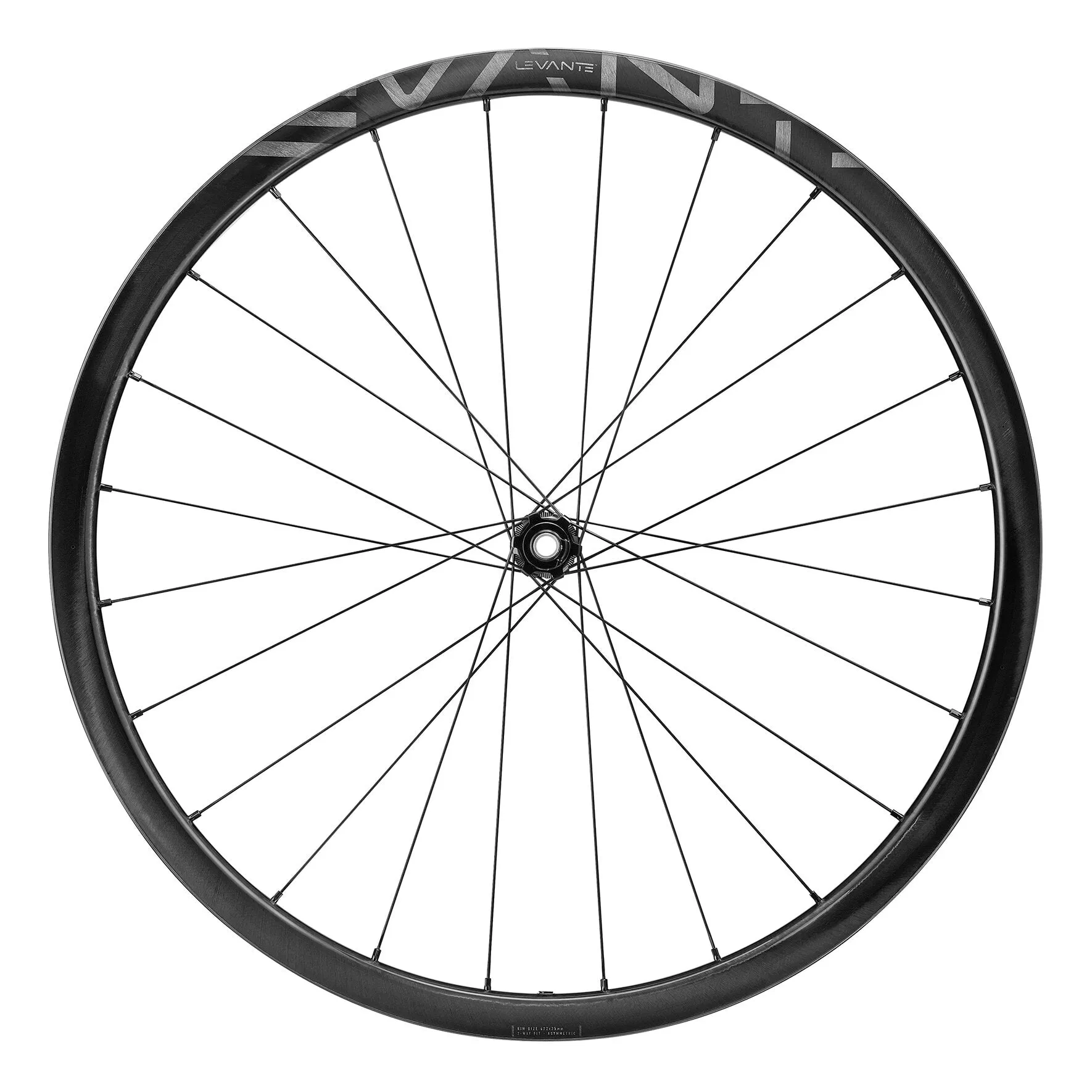 Campagnolo Levante 700C DB XDR (GRAVEL)