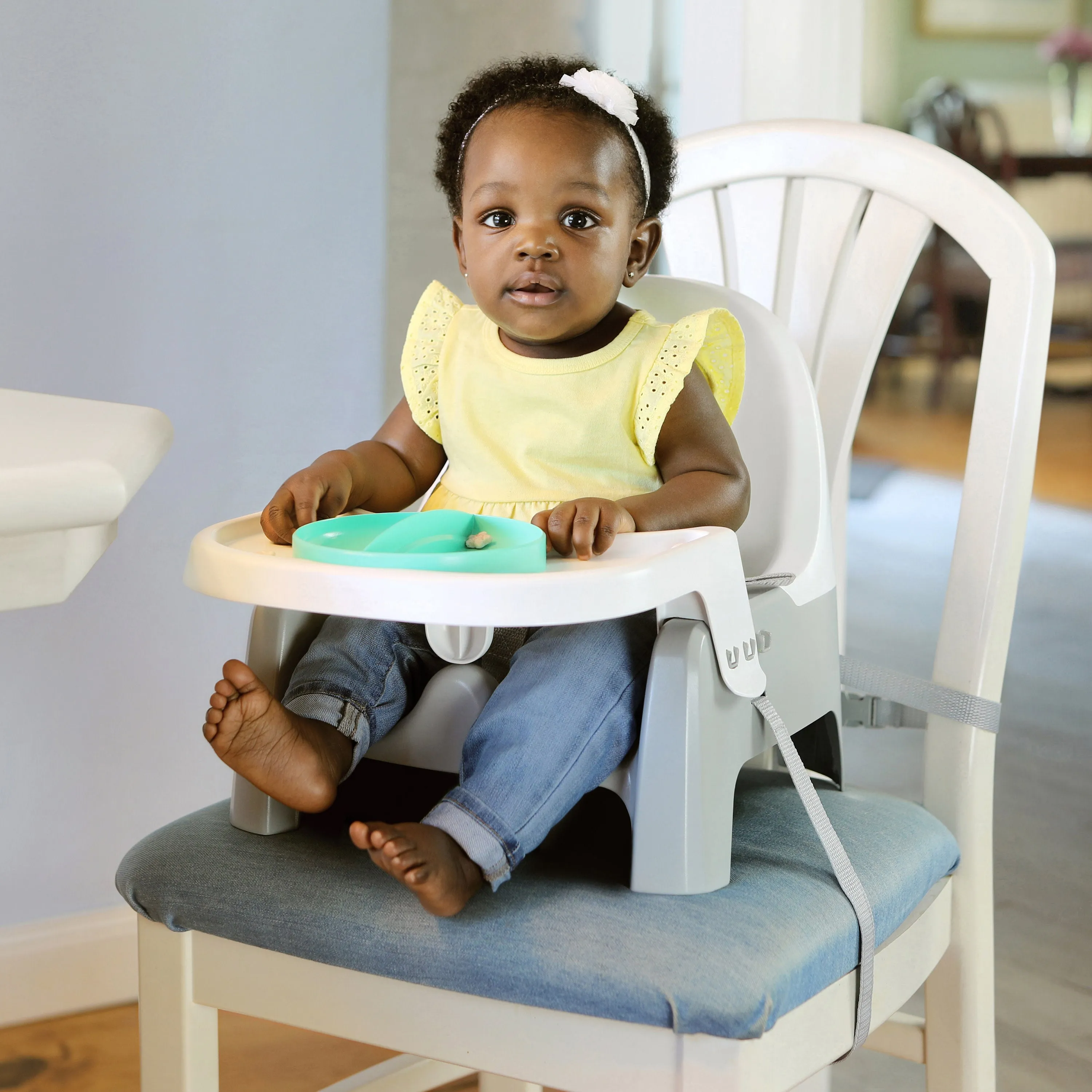 Deluxe Learn-to-Dine-Feeding-Seat