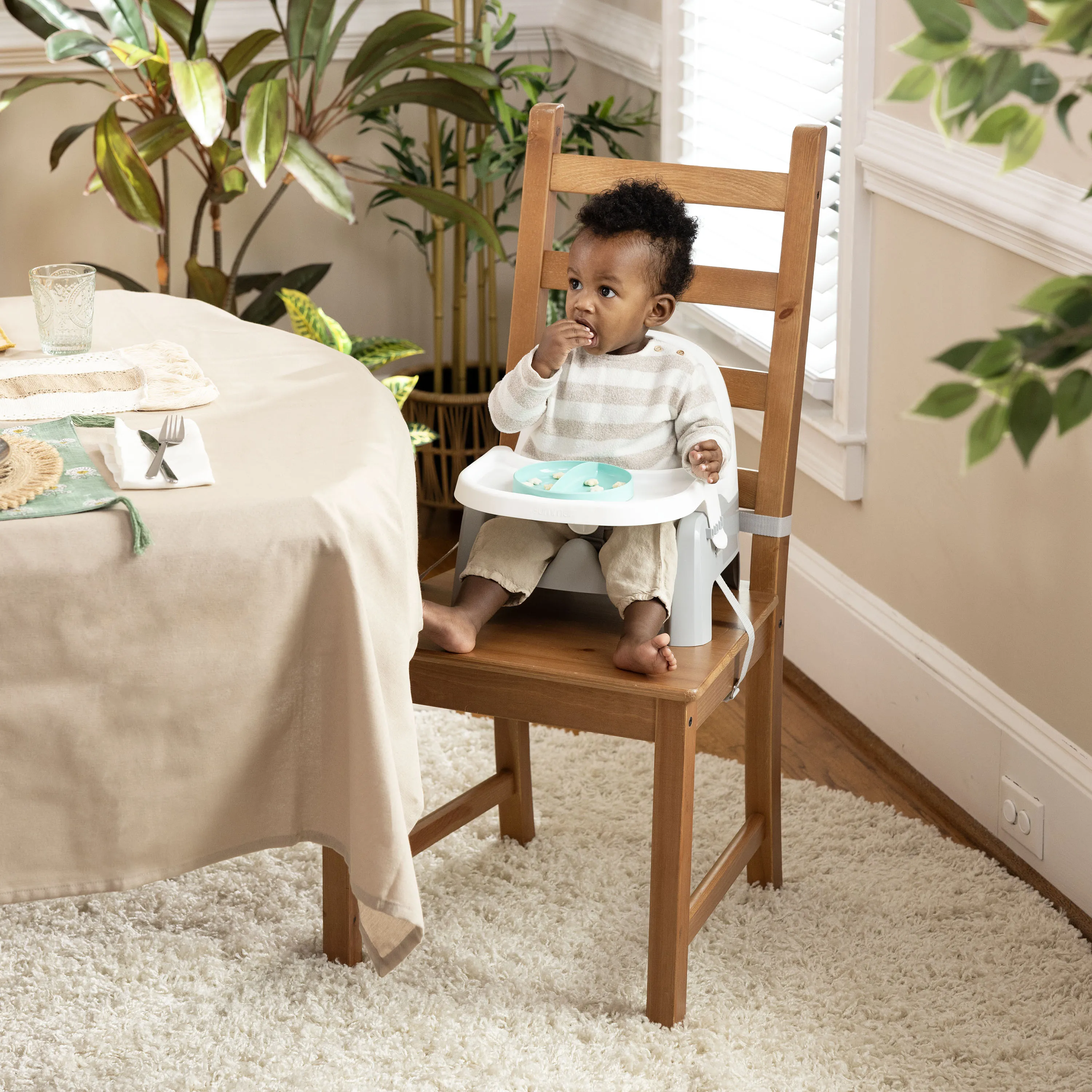 Deluxe Learn-to-Dine-Feeding-Seat