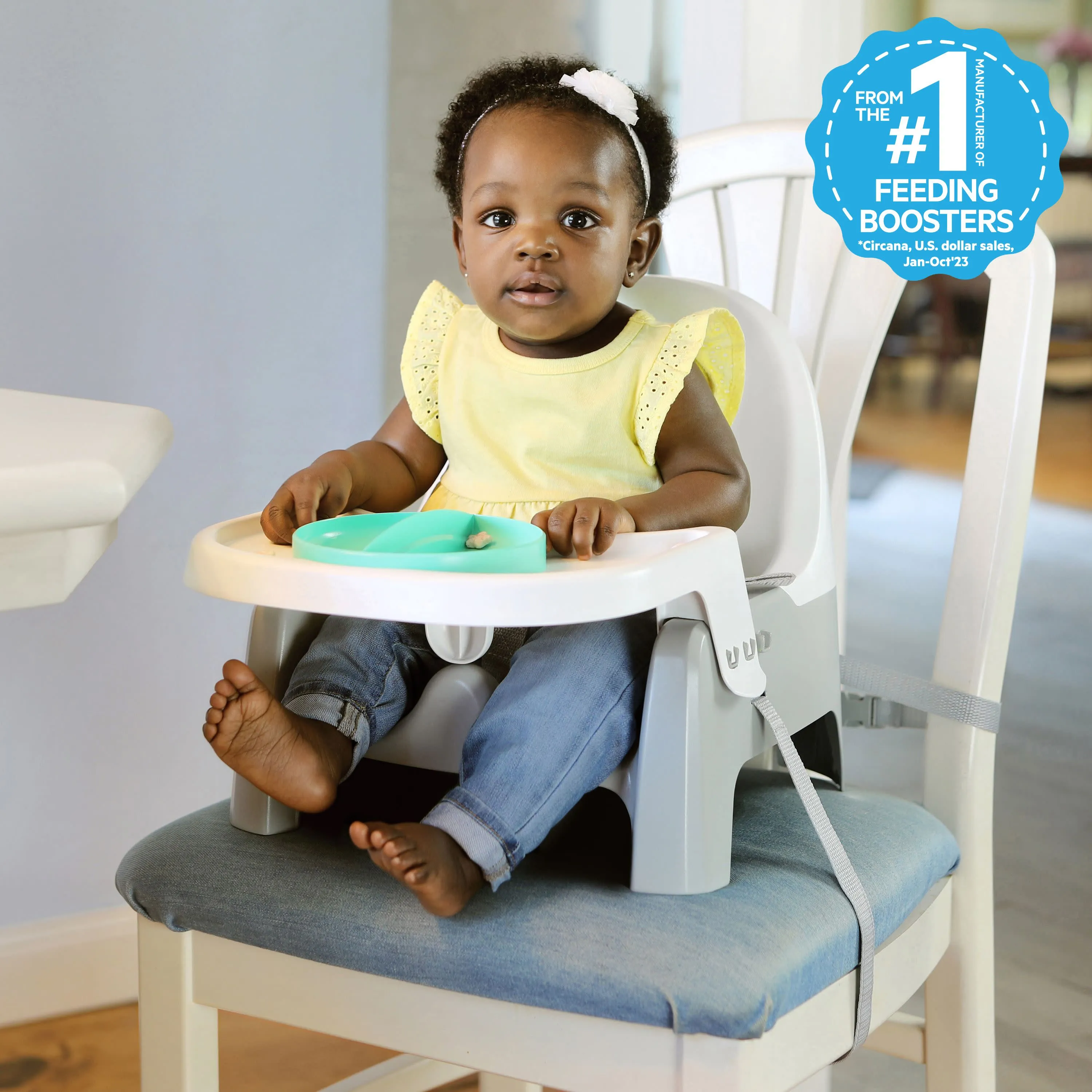 Deluxe Learn-to-Dine-Feeding-Seat