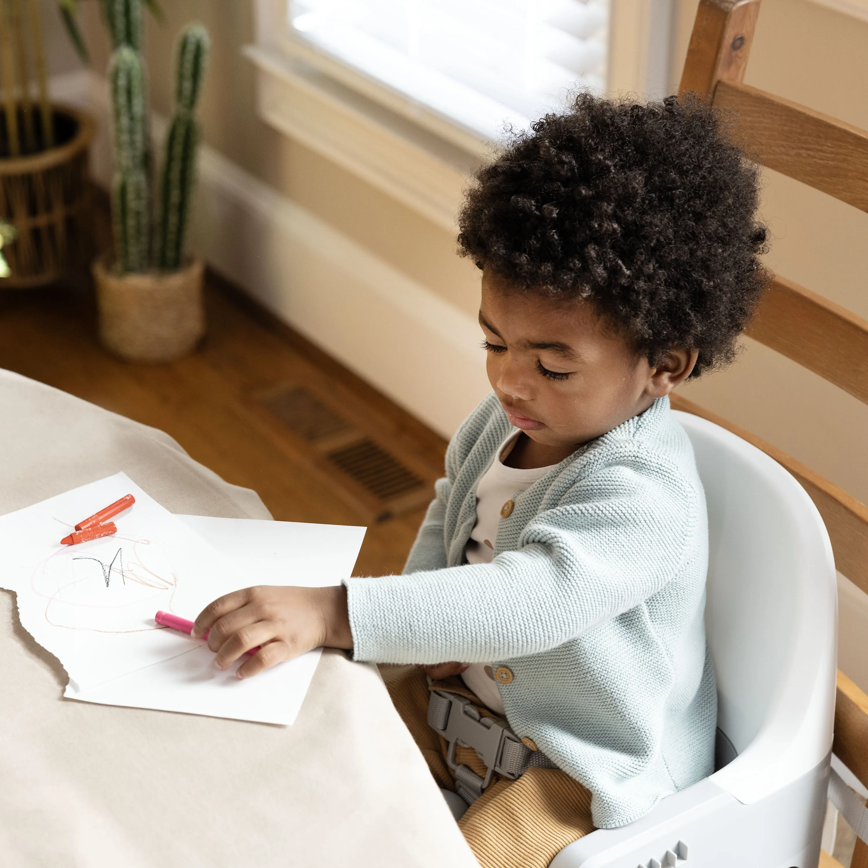 Deluxe Learn-to-Dine-Feeding-Seat