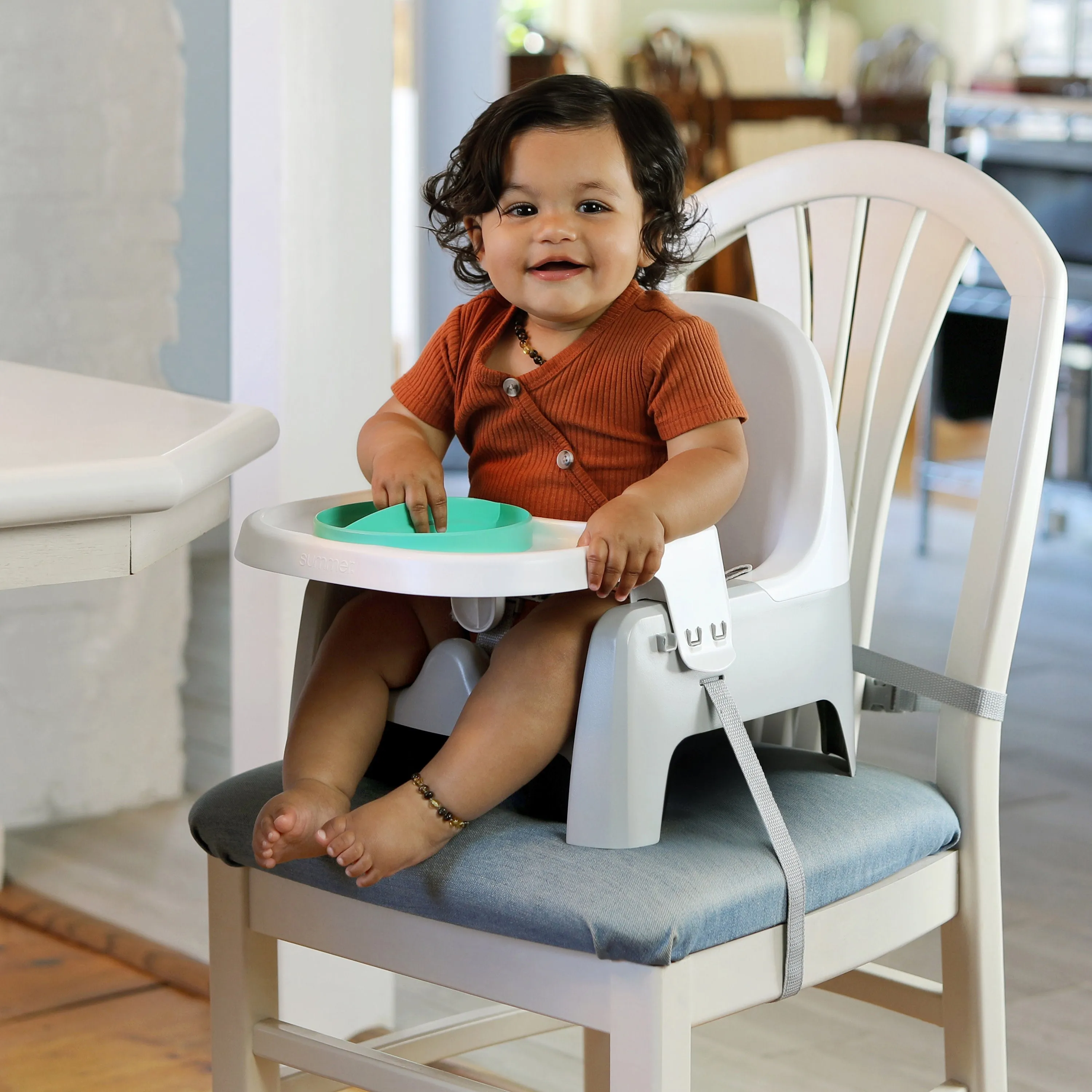 Deluxe Learn-to-Dine-Feeding-Seat