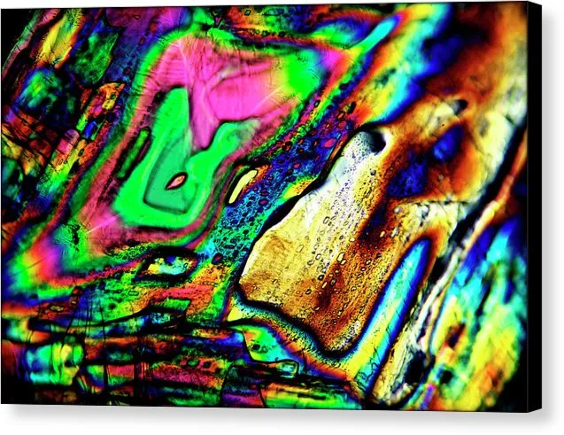 Disarray - Canvas Print