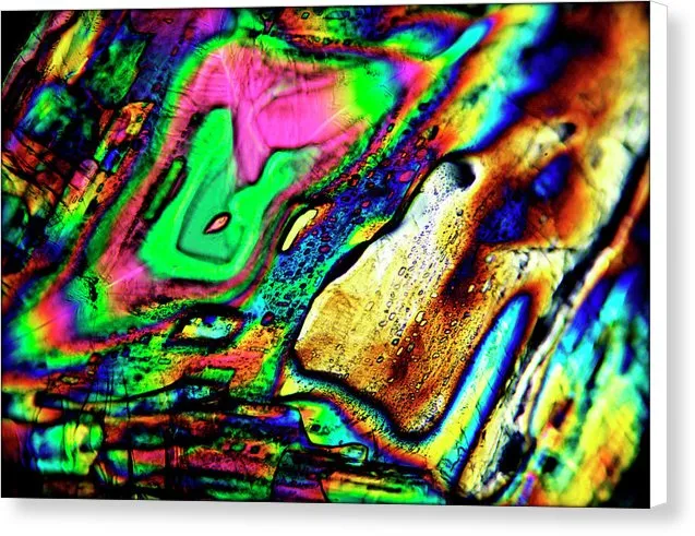 Disarray - Canvas Print