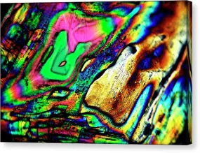 Disarray - Canvas Print