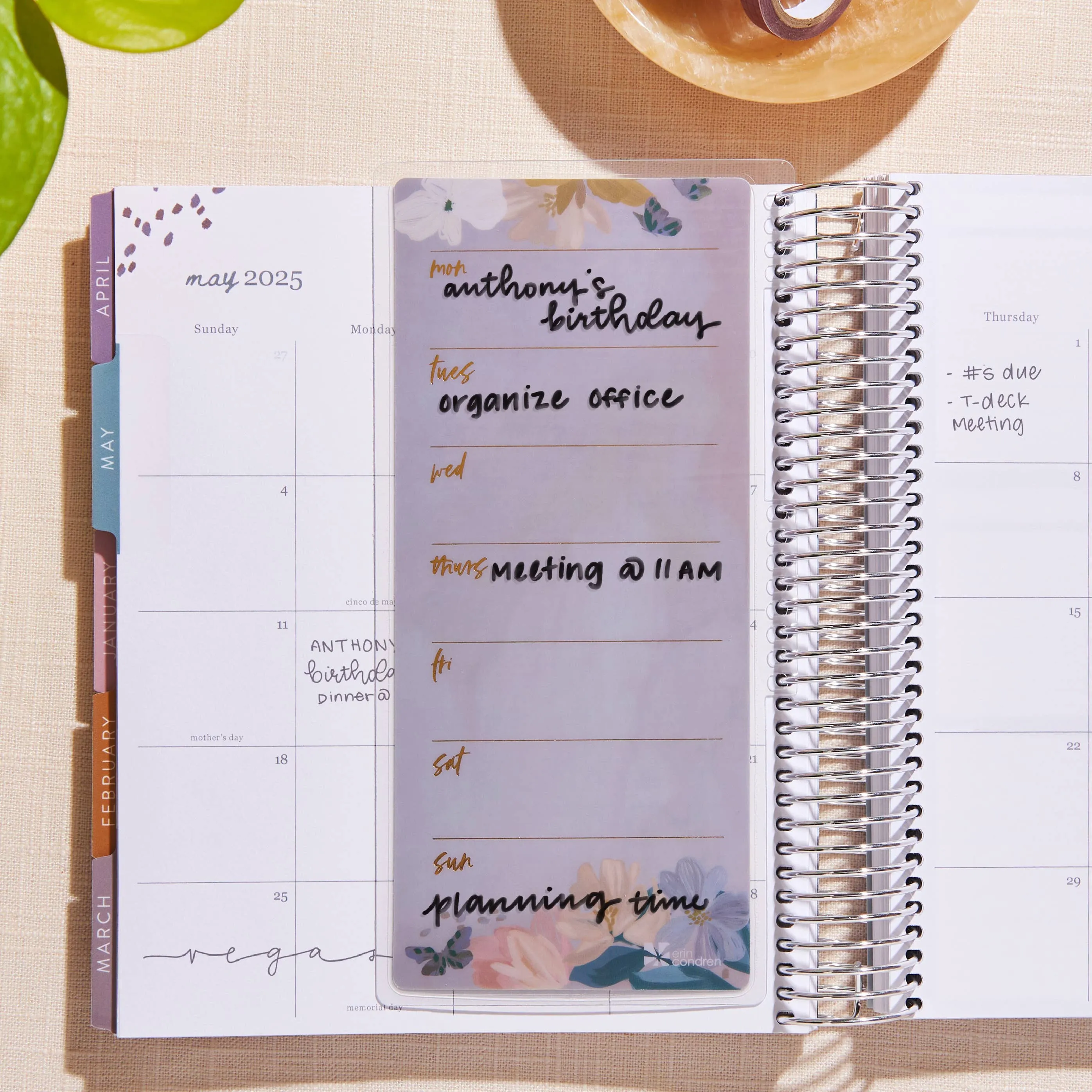 Erin Condren Bold Blooms To-Do List Dashboard - Snap-In