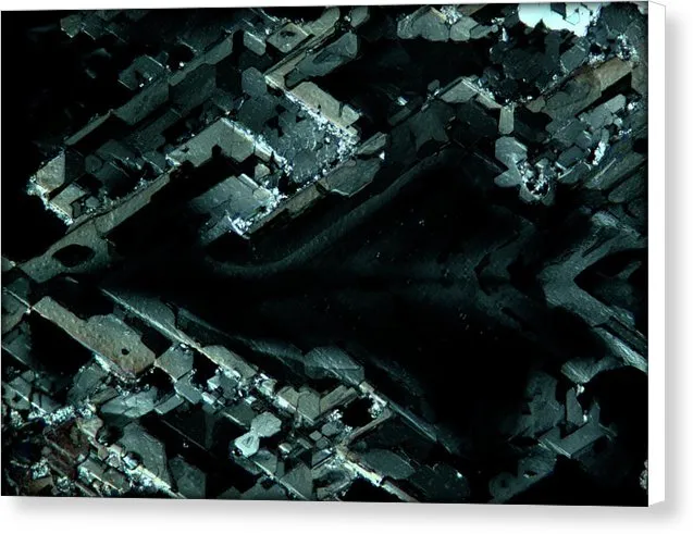 Evanesce - Canvas Print