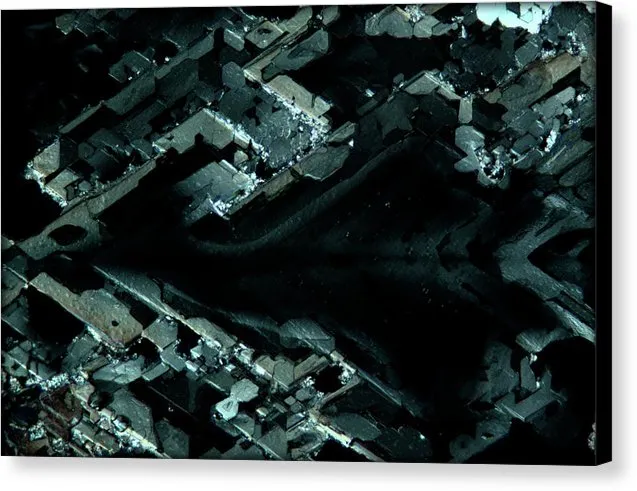 Evanesce - Canvas Print