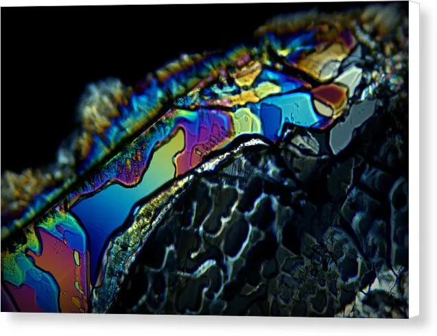 Motley - Canvas Print