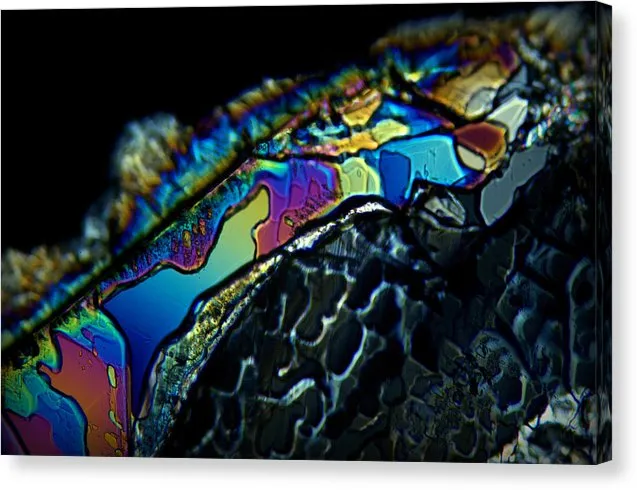 Motley - Canvas Print